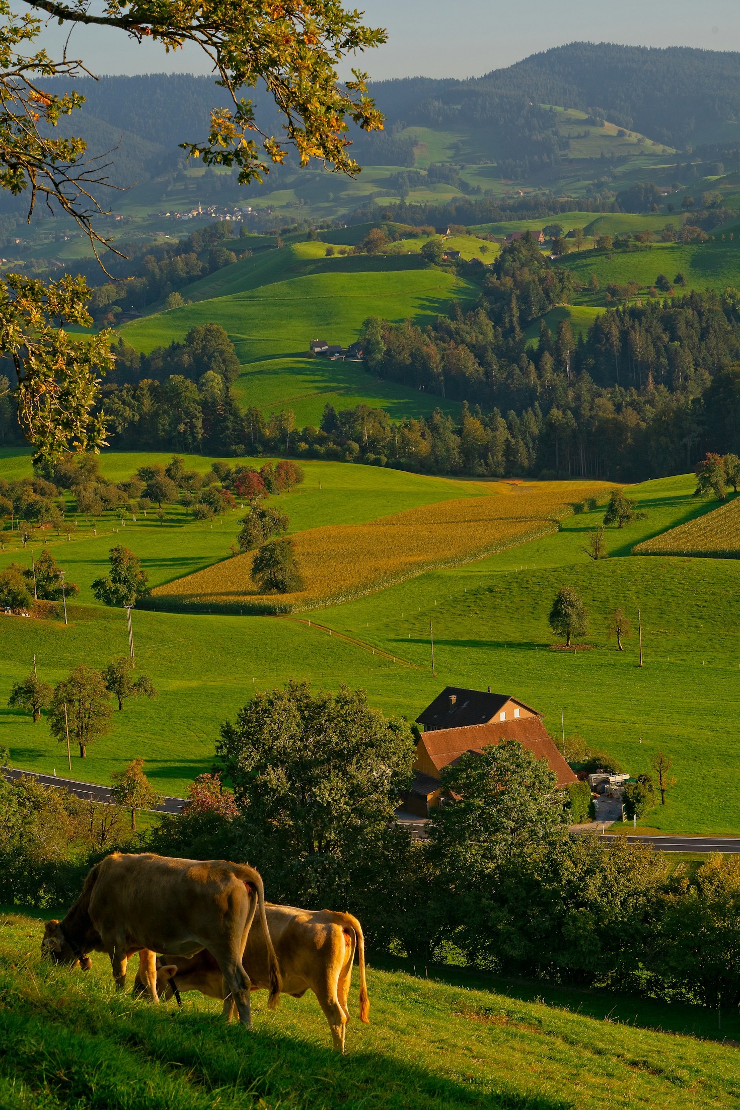 Duurzaamheid in het landelijk gebied van Flevoland