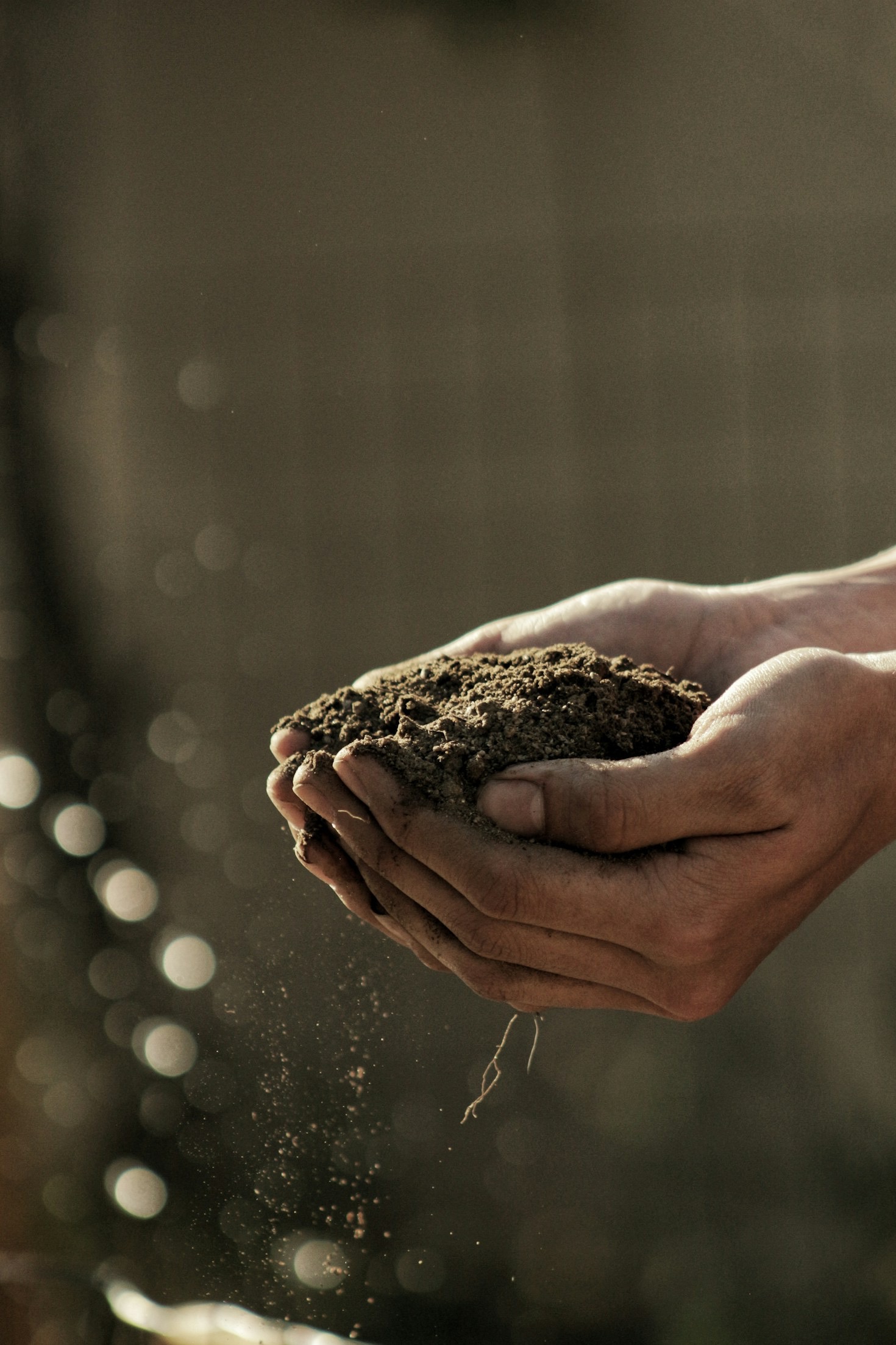 Landbouw en natuur: een symbiotische relatie